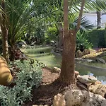 Golden Fuerteventura - Eaw Homes